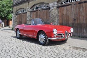 1965 Alfa Romeo Giulia Spider