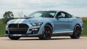 2022 Ford Shelby