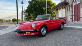 1985 Alfa Romeo Spider