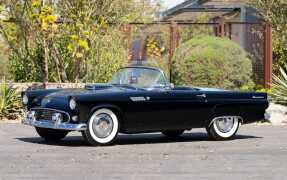 1955 Ford Thunderbird