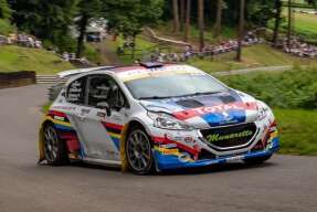 2014 Peugeot 208 R5 T16 Evo2