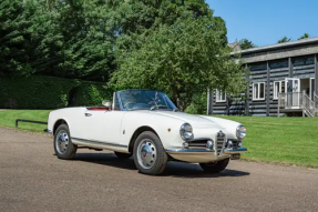 1963 Alfa Romeo Giulia Spider